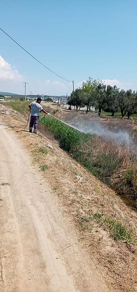 Başkan Oruçoğlu: "Yaz sezonu hazırlıklarımız devam ediyor"