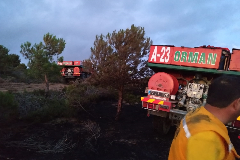 Biga'da orman yangını