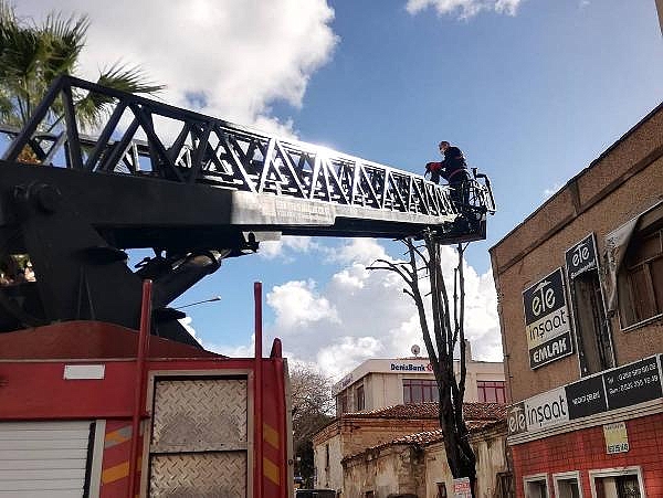 Çanakkale'de çatıda mahsur kalan kediyi itfaiye ekibi kurtardı