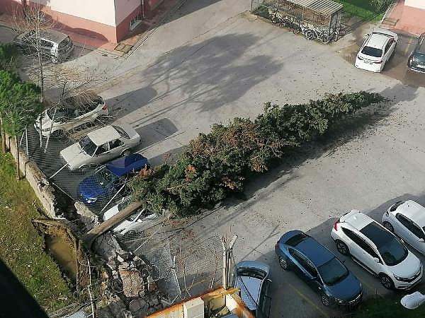 Çanakkale'de lodos fırtınası ağaçları devirdi