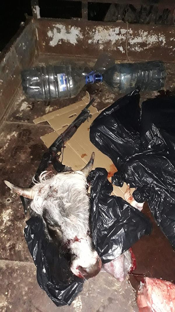 Büyük ve küçükbaş hayvanları silahla vuran 2 kişi, yakalandı