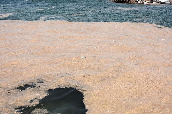 2021/07/canakkalede-musilaj-deniz-supurgesiyle-temizleniyor-91113e636403-6.jpg