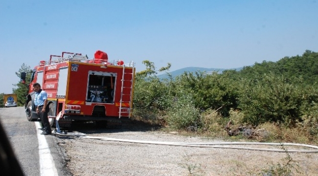 Bayramiç’te Orman Yangını
