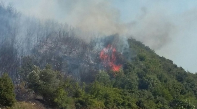 Çanakkale'de İkinci Orman Yangını