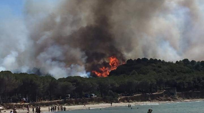 Çanakkale'de Orman Yangını