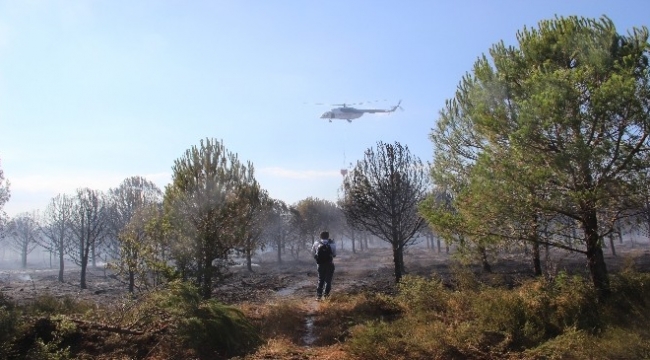 Çanakkale'deki Orman Yangını  Kontrol Altına Alındı.