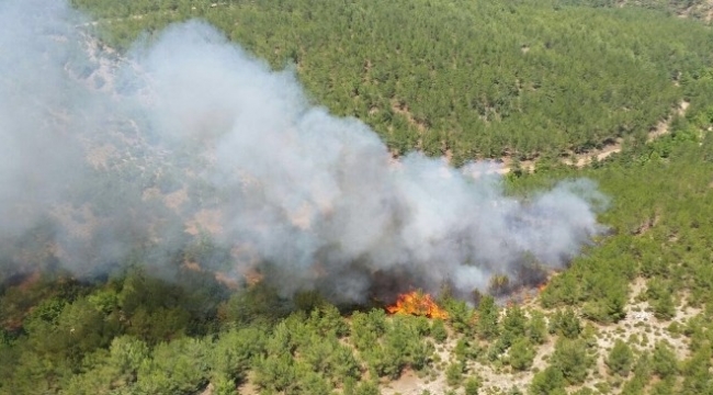 Çanakkale’de Orman Yangını