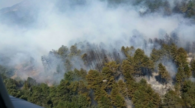 Çanakkale'de Orman Yangını