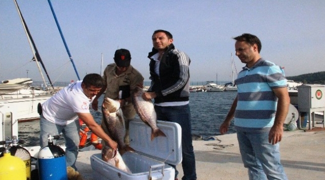 Çanakkale'de Kaçak avcılığa suçüstü