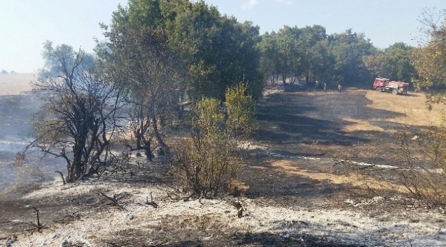 Çanakkale’de orman yangını