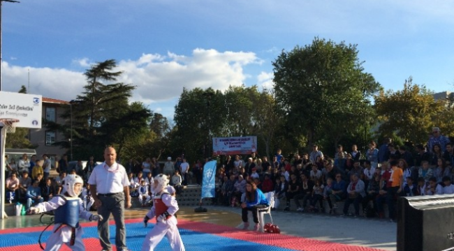 Demokrasi Şehitleri Adına Taekwondo Turnuvası Düzenlendi