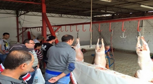 Pişmemiş kurbanlık sakatatları hastalık yayıyor
