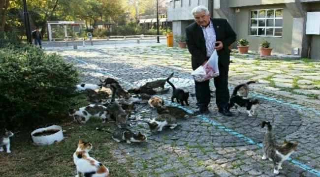 35 yıldır kordon boyunda kedileri besliyor.