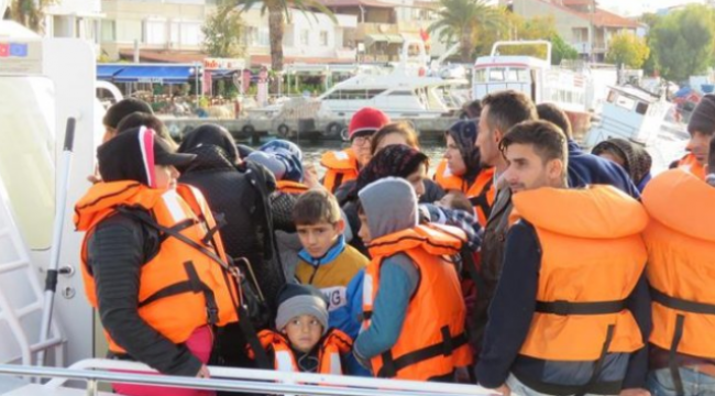 Ayvacık'ta 48 Göçmen Yakalandı