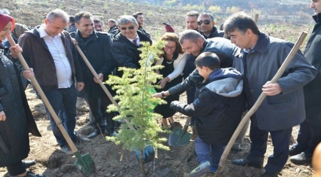 Çanakkale’de Ömer Halisdemir hatıra ormanı oluşturuldu