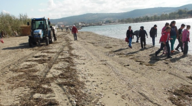 Çardak Kum Adasında Kıyı Temizliği Yapıldı