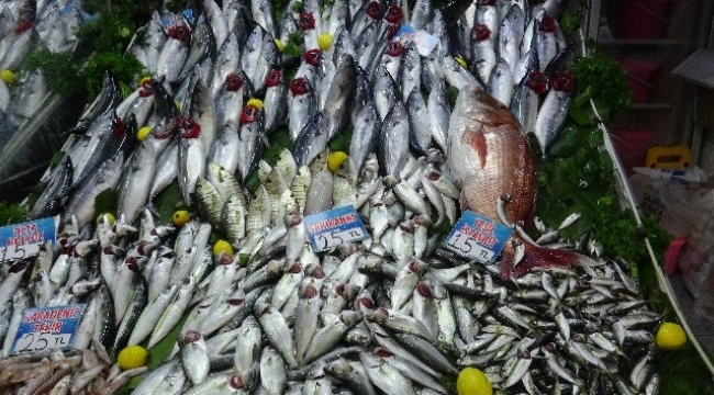 Oltayla 10 kiloluk mercan balığı yakaladı