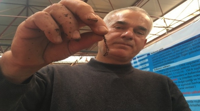 Tarımın geleceği solucanlara bağlı