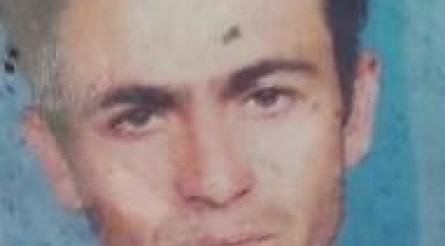 Mantar toplamaya gitti, cesedi bulundu