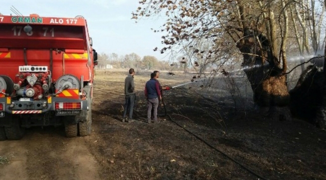 Yenice'de Yangın