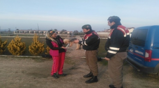 Çalınan köpekleri jandarma buldu