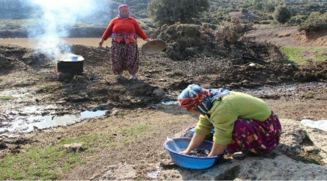 Deprem Bölgesinde Hayat Normale Döndü