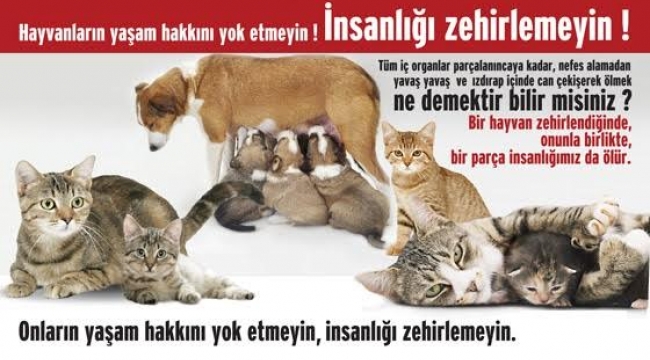 Hayvanların Yaşam Hakkını Yok Etmeyin