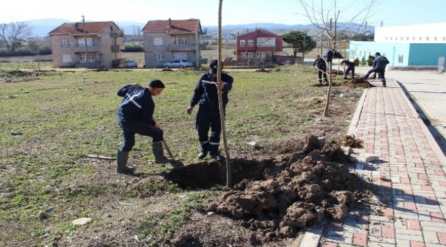 Biga’da 3 ayda 7 bin ağaç dikiliyor