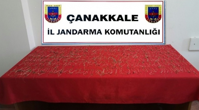 Çanakkale’de uyuşturucu operasyonu