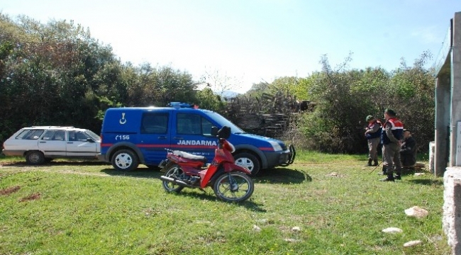 Ağıldan koyunlar çalındı