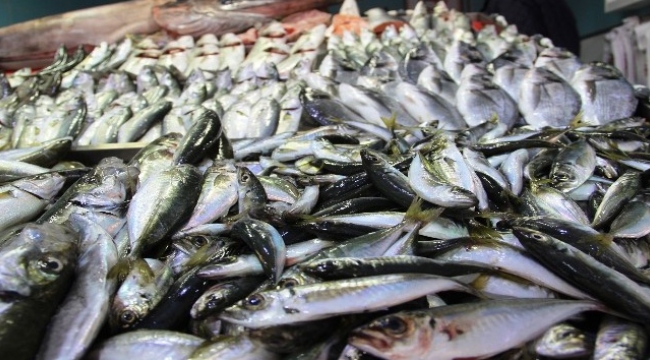 Av sezonu kapandı, balık el yakıyor