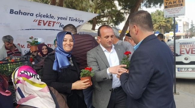 Biga’da 4 bin adet çiçek dağıtıldı
