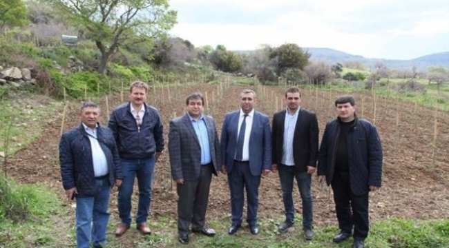 Gökçeada arısının ıslahı ve korunması toplantısı düzenlendi