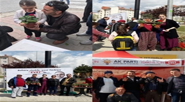Kepez Çiçek Açtı