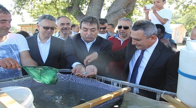 2 bin yavru levrek denize bırakıldı