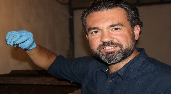 2 milyon solucanla ayda 3 ton organik gübre üretiyor