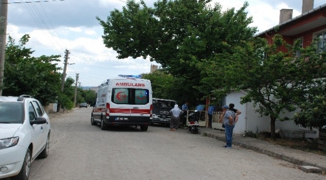 Ağaçtan düşen adam yaralandı