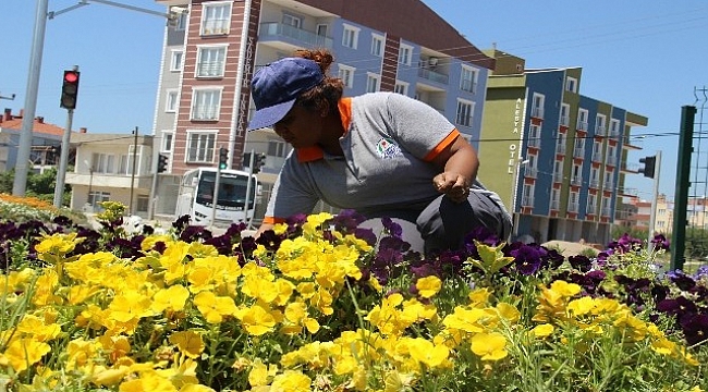Bu ilçeyi kadınlar güzelleştiriyor