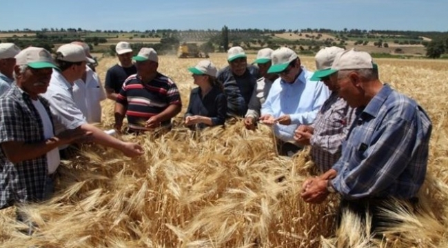 Çanakkale’de Arpa Tarla Günü yapıldı