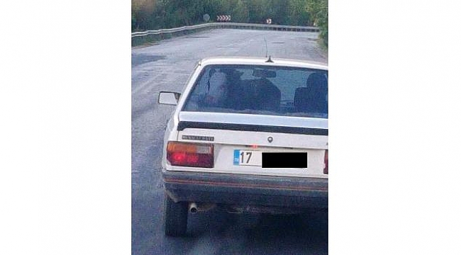 Çanakkale’de ’Dana Ferhat’ şaşkınlığı