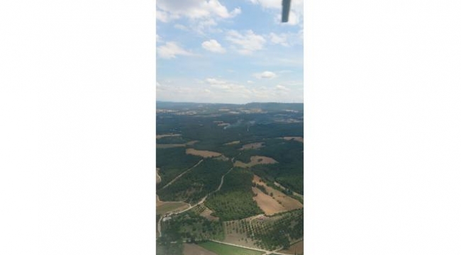 Çanakkale’de orman yangını