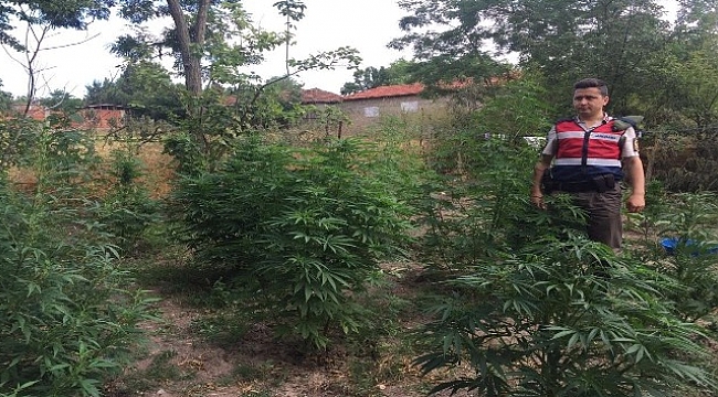 Çanakkale’de uyuşturucu operasyonu