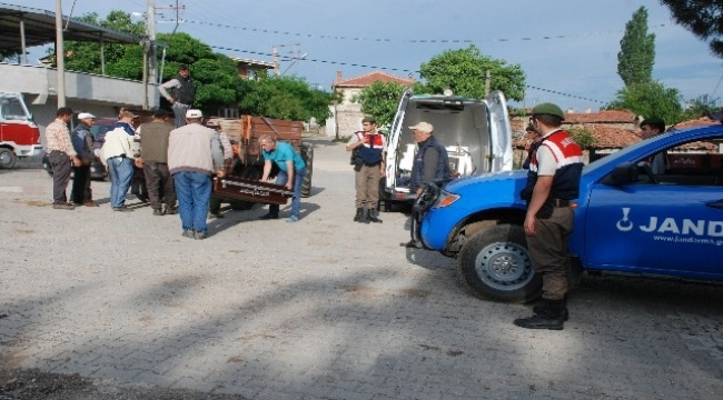 Kestiği ağacın altında kaldı
