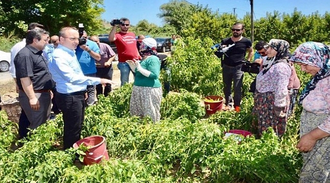 AK Parti’li Turan afet bölgesinde