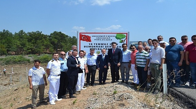 Ayvacık’ta 249 şehit için 249 fidan