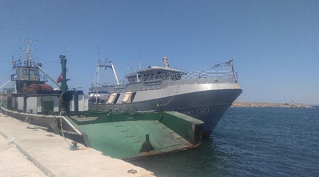 Çanakkale’de 226 kaçak göçmen yakalandı
