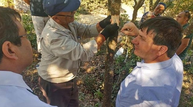 Çanakkale’de Antep fıstığı da yetişecek