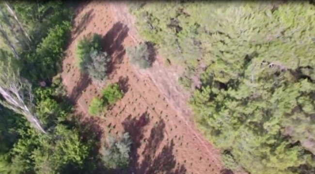 Jandarmadan Drone'lu Uyuşturucu Operasyonu