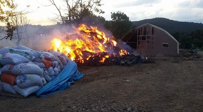 Koyun çiftliğinde yulaf balyaları yandı