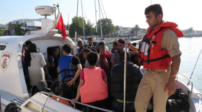 Ayvacık'ta 51 Kaçak Göçmen Yakalandı